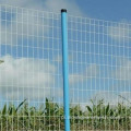 PVC powlekane spawane ogrodzenie euro/Holland Tree Fence